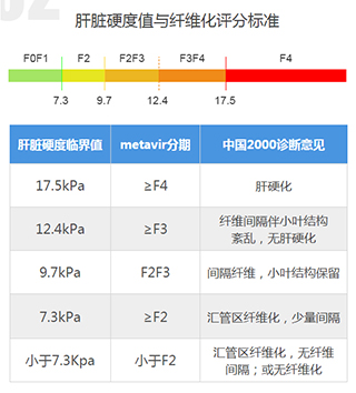 肝脏瞬时弹性检测:判断肝纤维化和肝硬度必不可少的检查