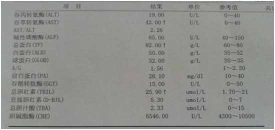 保肝药不管用?北京医生卢书伟带你正确养肝、护肝、抗肝病