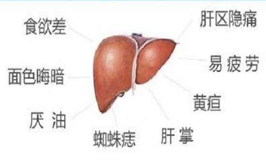 郑州哪个治疗肝病