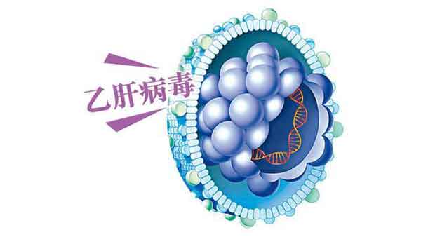 郑州什么医院治疗乙肝大三阳病好